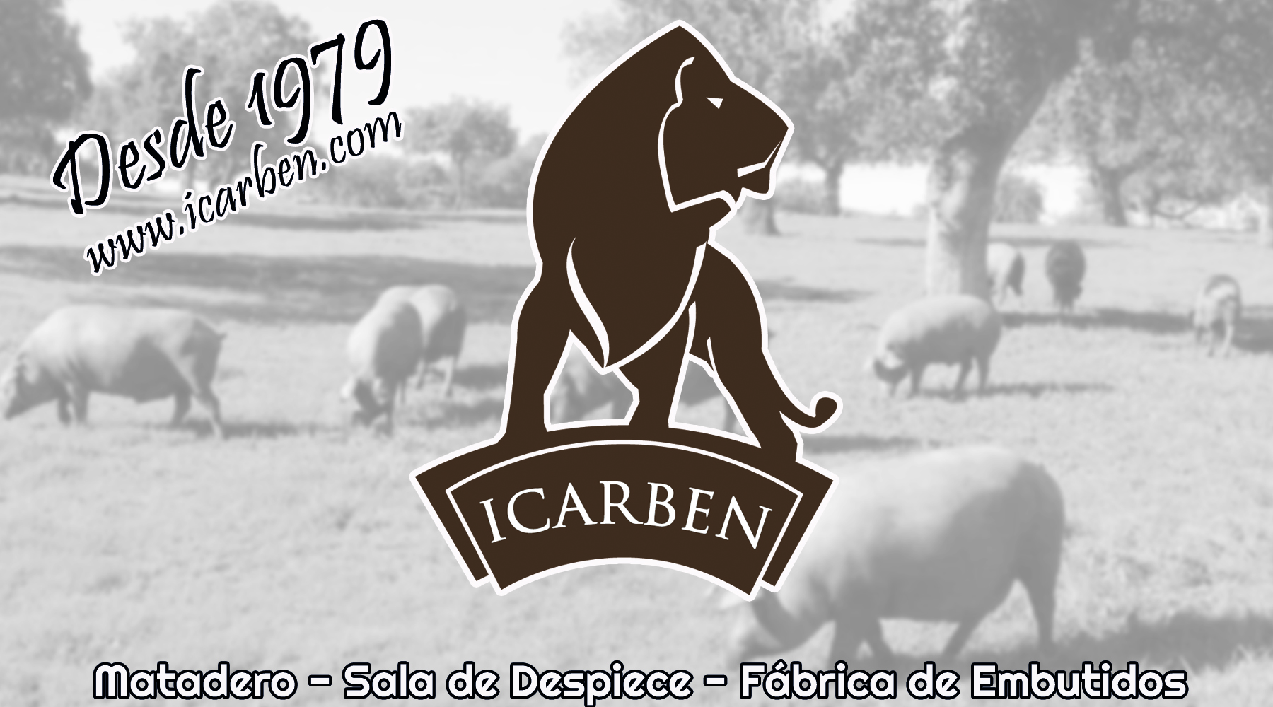 ICARBEN desde 1979